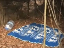 20 мигранти се крият в гората над Ихтиман