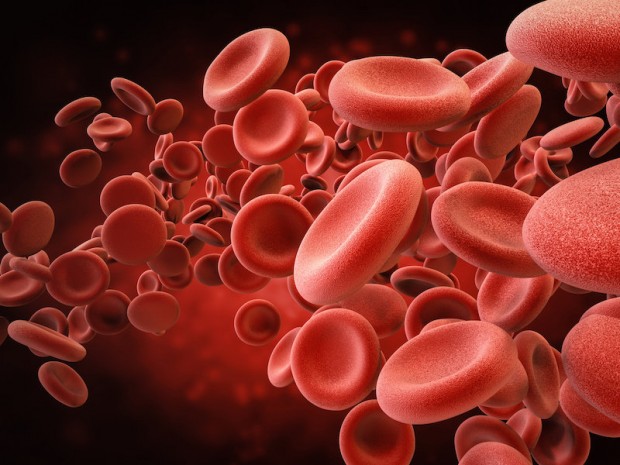 Кръвната група съдържа информация за еритроцитите  червените кръвни телца на даден индивид