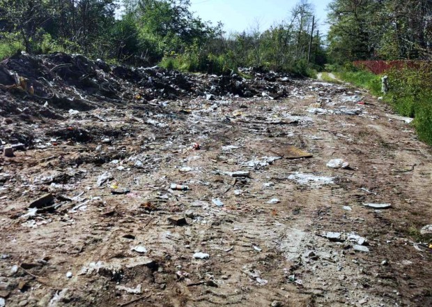 Глобите за замърсяване на околната среда на територията на Пловдив