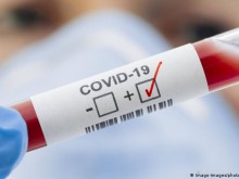 3233 �� �������������� � ����������� � ���, 734 �� ��� �� � �����