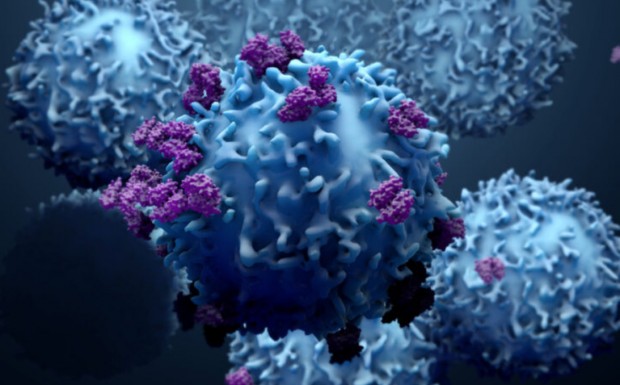 Ваксина срещу COVID-19, която провокира имунен отговор на Т-клетки, е