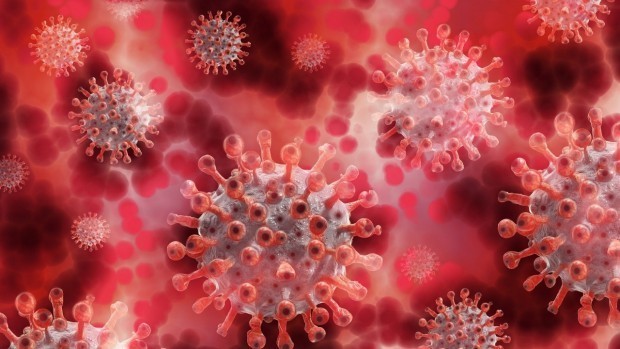 2569 са новите случаи на коронавирус, установени при 29 503 теста.