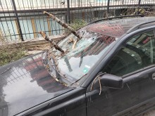 Клони разбиха предното стъкло на автомобил