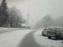���� ����� ������� "��������"