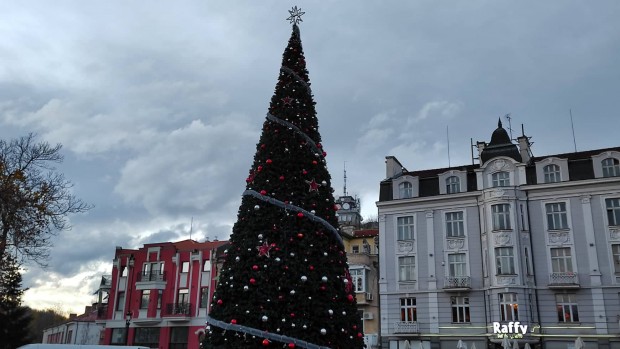 Коледната елха в центъра на Пловдив е почти готова видя