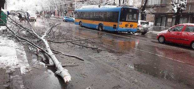 Падна първия сняг в София а с това започнаха и