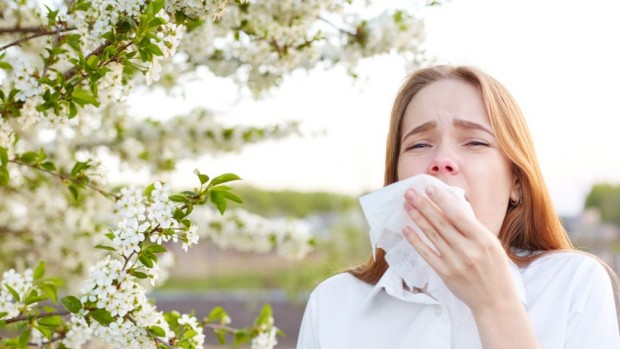 Хората с алергични състояния като сенна хрема екзема ринит както