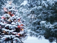 Ето къде в България ще вали сняг на Коледа
