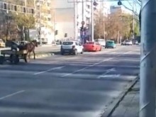 Поредна каруца по улиците на Пловдив! Докога?
