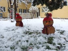 ����� ����� ��������� ������ � 36 �� "��������"