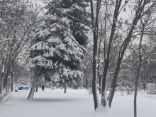 ������ �� ����� ���������� � ����� ���� ���������, � ���� ������� ����� ������?
