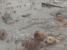Полицаи спасиха давещо се в ледено езеро куче