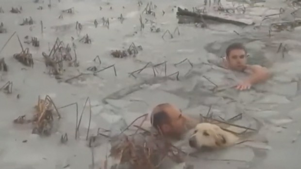 В Испания полицаи спасиха куче от замръзнало езеро.Драматичните сцени са