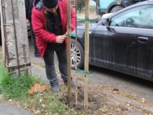 ���� 315 ������� ���� �������� � ����