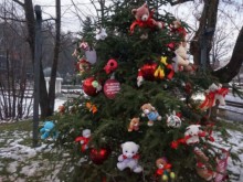 � ����� ������ ��������� ������ � ������� �������