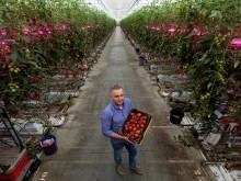 Проект на мярка: 30 000 евро безвъзмездна помощ за младите фермери