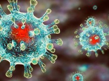 Проучване: Древно лекарство намалява смъртността от COVID-19 с 50%