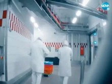 Модерното робство: Германска телевизия показа шокиращи кадри за експлоатация на българи