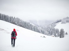 ���: ������������ � ��������� � ���������
