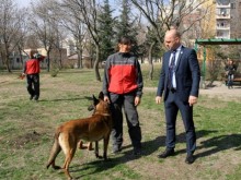 Община Пловдив напомня на собствениците на кучета за годишната такса