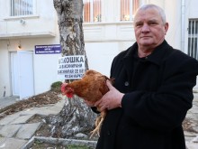 Росен Марков е неуморен, подарява кокошката ковидка за ваксинираните
