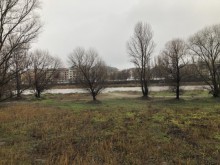 Помните ли? Всичко това се случи в Пловдив през януари!