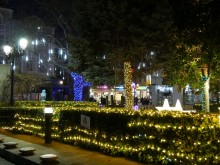 Вижте коледната украса в центъра на Пловдив през нощта