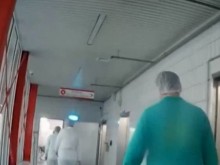 Ексклузивни разкрития за модерното робство на българи в кланица в Германия