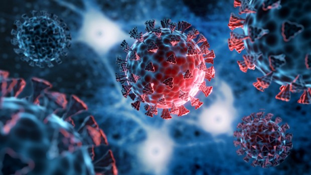 3449 са новите случаи на коронавирус у нас Направените изследвания