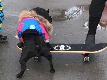 ����������: ���� �� ��������� ����� ������� �� ��������!