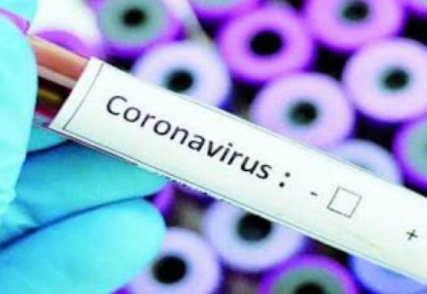1356 са новите случаи на коронавирус  Това сочат данните от Единния