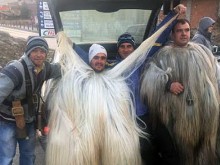 Кукер дефилира със 125 см костюм, ще кандидатства за Гинес