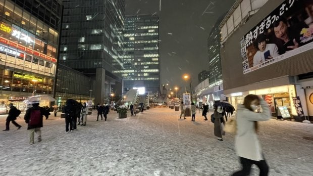 Заради необичайните снеговалежи в Токио са пострадали най малко 215 души