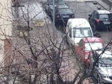 ���� � ������� �� ���������� ������ ������ ����� ��� �������� � �������� �������