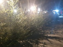 ��������� ��� ���������: �� �������� ������� �������� �� ����� �� ���������!