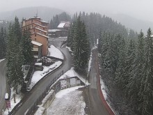 Арест в Пампорово заради фалшив зелен сертификат