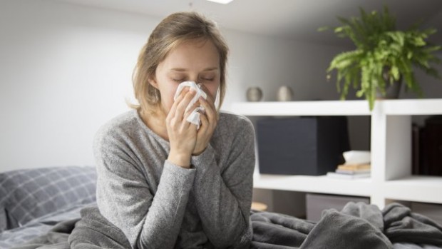 Високите нива на Т-клетки от преболедуване на обикновена настинка могат