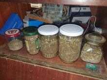 Прокуратурата погна двама, спипани с над 11 килограма марихуана в Шуменско