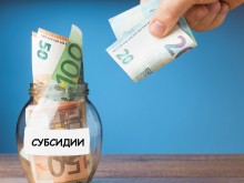 Министерството предлага таван за СЕПП над 100 000 евро с приспадане на разходи за заплати