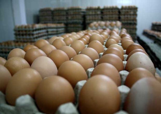 Има ли риск от недостиг на яйца заради високия износ