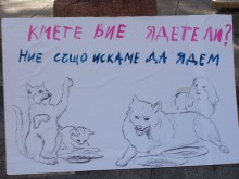 Главният еколог не глоби екоактивистите заради кучешките хранилки пред общината