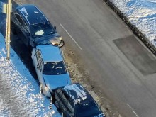 Отдавна не бяхме ставали свидетели на такава гледка