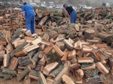 Възможно е помощите за дърва и въглища да бъдат спрени