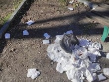 Пловдивчанка остана възмутена и погнусена от гледката в парк