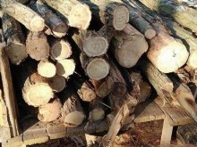 Добрата новина: Доброволци дариха дърва на бедстващото пловдивско семейство