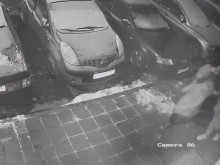 �� �� ����������? ��������� ��������� ���������� ��� ��������!