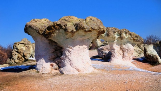 Природният феномен Каменните гъби  известен още като Скални гъби е разположен на около