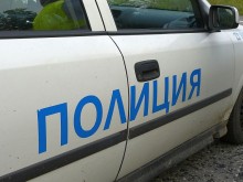 Трагедия: Жена е намерена мъртва, заобиколена от кучета