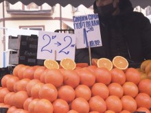 Търговци: Едва оцеляваме! Молим се да преживeeм зимата