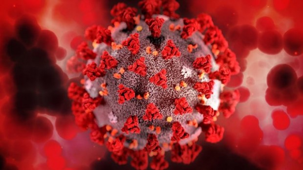 През денонощието в страната са регистрирани 8140 нови случая на коронавирусна инфекция